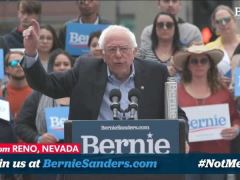 Bernie Sanders Rally Reno, Nevada