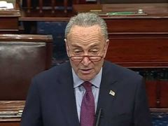 Chuck Schumer Speech on Senate Floor Day After House Impeached President Trump