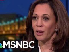 Kamala Harris Interview With Rachel Maddow